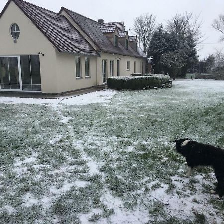 Au Coeur De La Flandre Lägenhet Noordpeene Exteriör bild