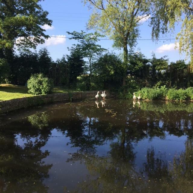 Au Coeur De La Flandre Lägenhet Noordpeene Exteriör bild