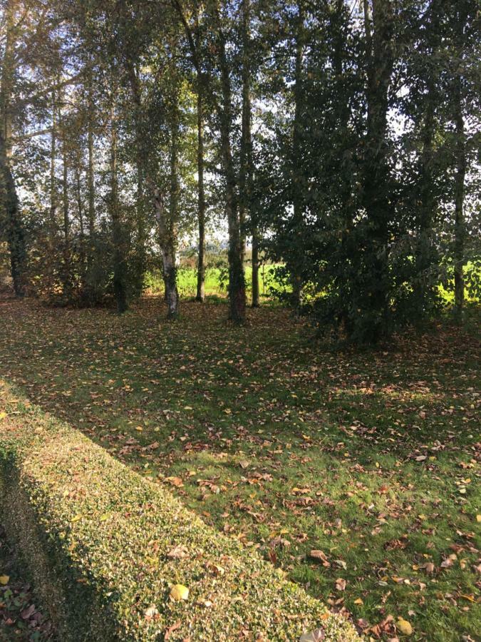 Au Coeur De La Flandre Lägenhet Noordpeene Exteriör bild