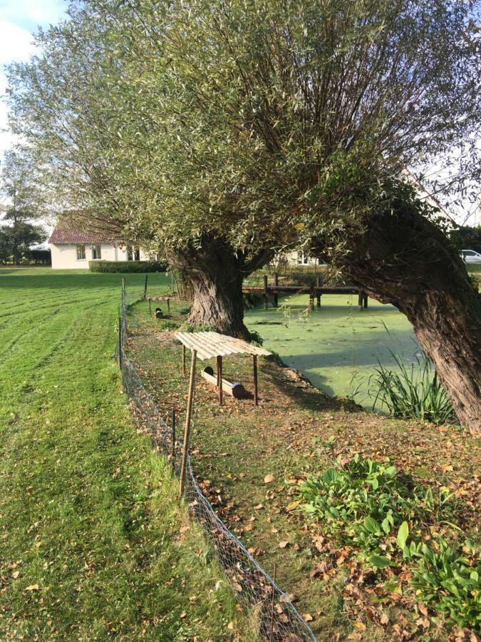 Au Coeur De La Flandre Lägenhet Noordpeene Exteriör bild