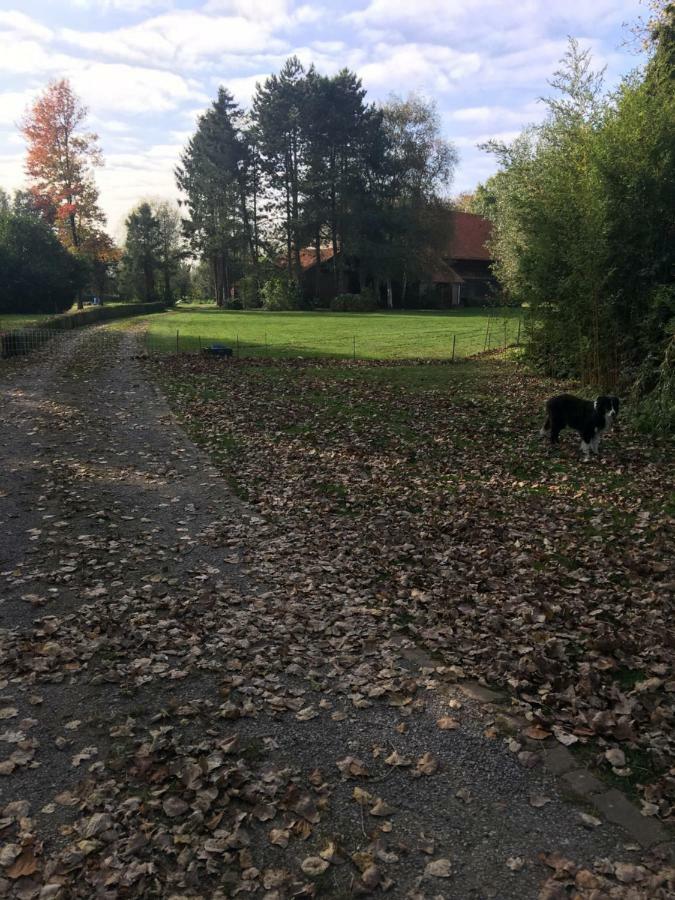 Au Coeur De La Flandre Lägenhet Noordpeene Exteriör bild