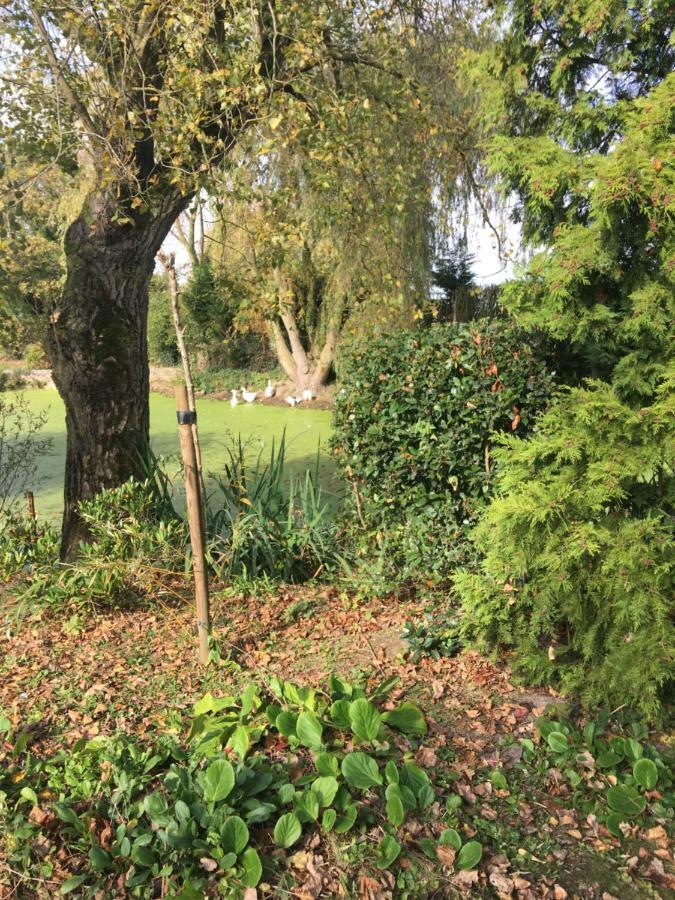 Au Coeur De La Flandre Lägenhet Noordpeene Exteriör bild