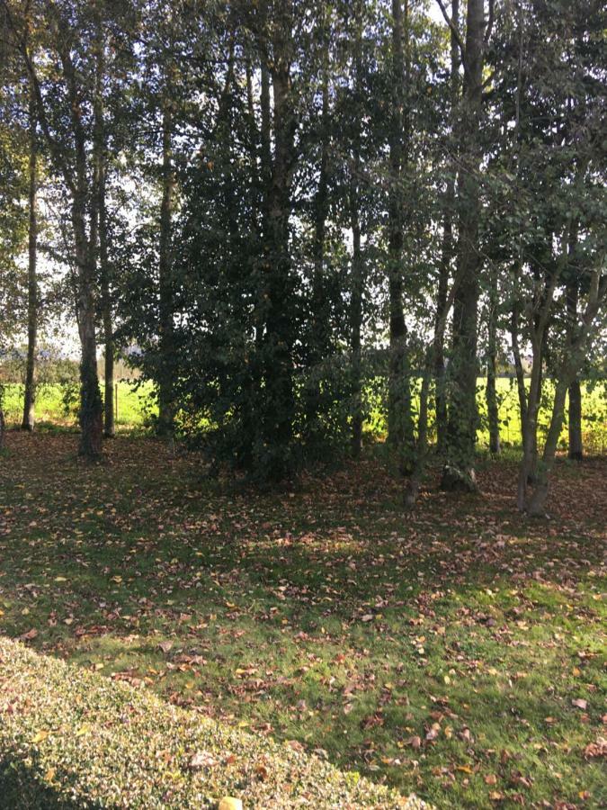 Au Coeur De La Flandre Lägenhet Noordpeene Exteriör bild