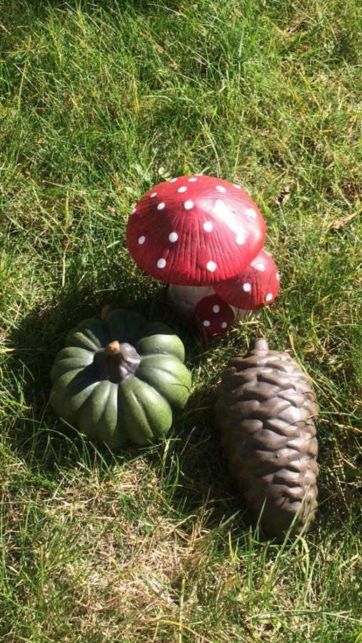 Au Coeur De La Flandre Lägenhet Noordpeene Exteriör bild