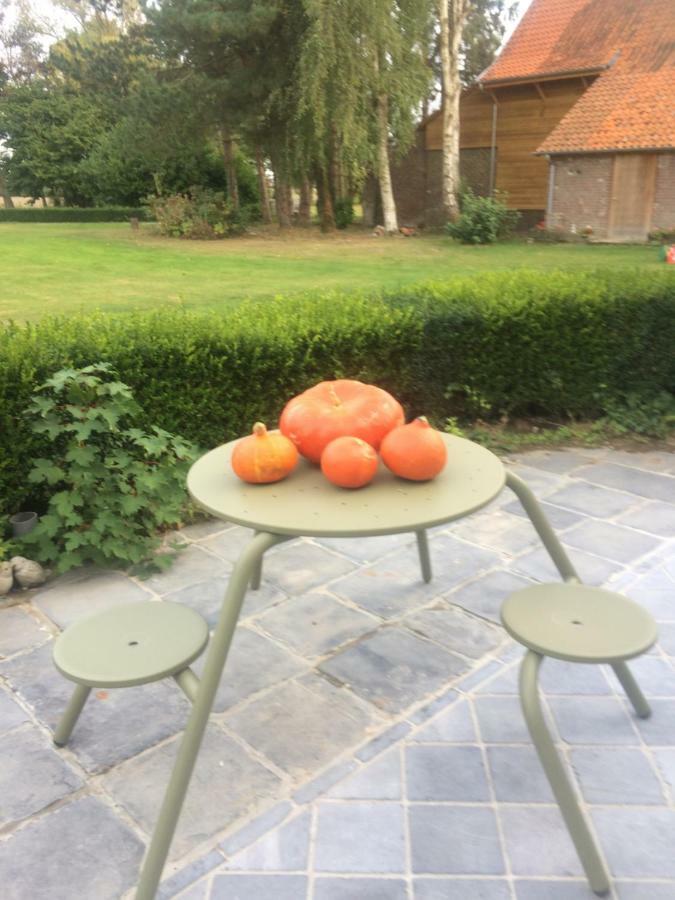 Au Coeur De La Flandre Lägenhet Noordpeene Exteriör bild