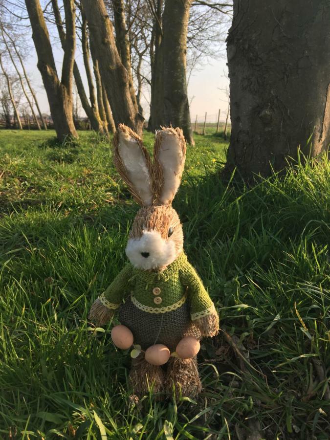 Au Coeur De La Flandre Lägenhet Noordpeene Exteriör bild
